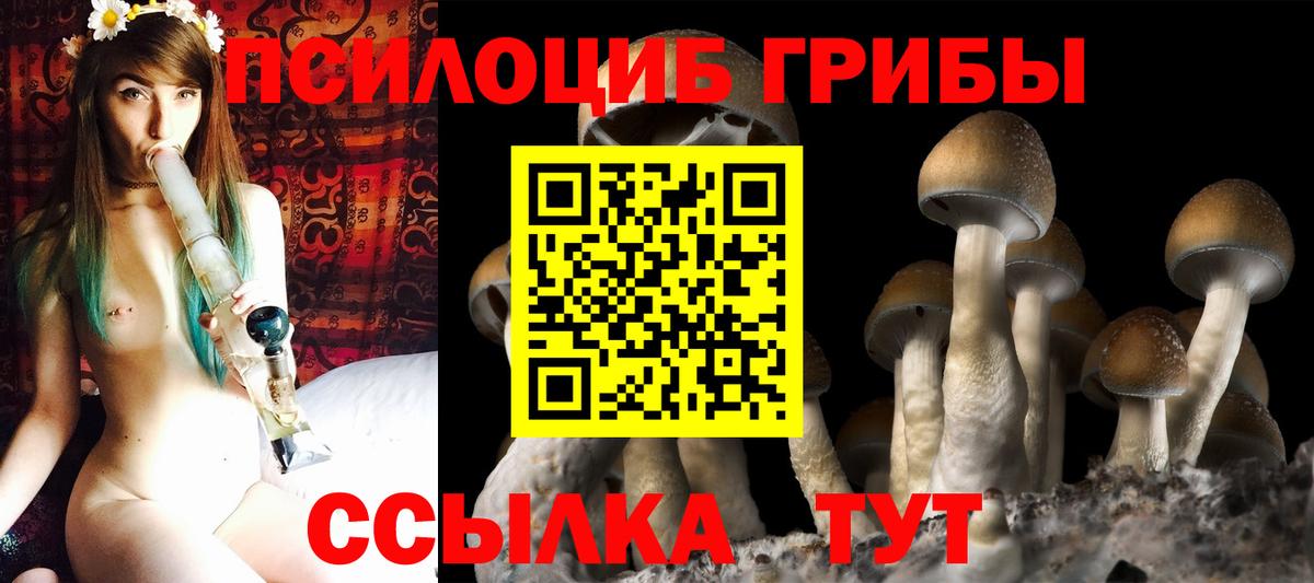 Галлюциногенные грибы Psilocybe  Псилоцибиновые грибы GOLDEN TEACHER  Вход с VPN  Вятские Поляны 